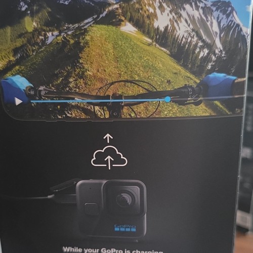 Gopro hero11 black mini - gopro,